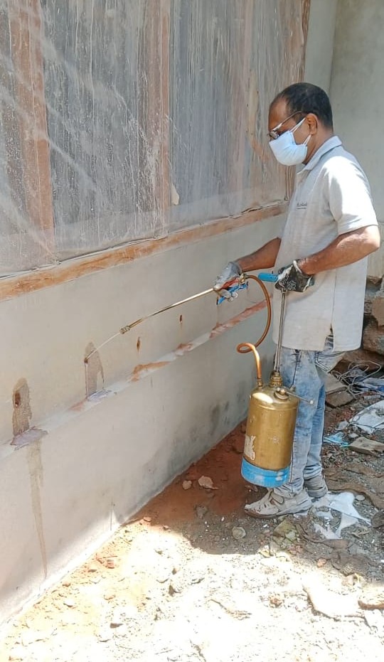 Pest control Termite work (ചിതൾ) Vatakara in Calicut : Yazljo