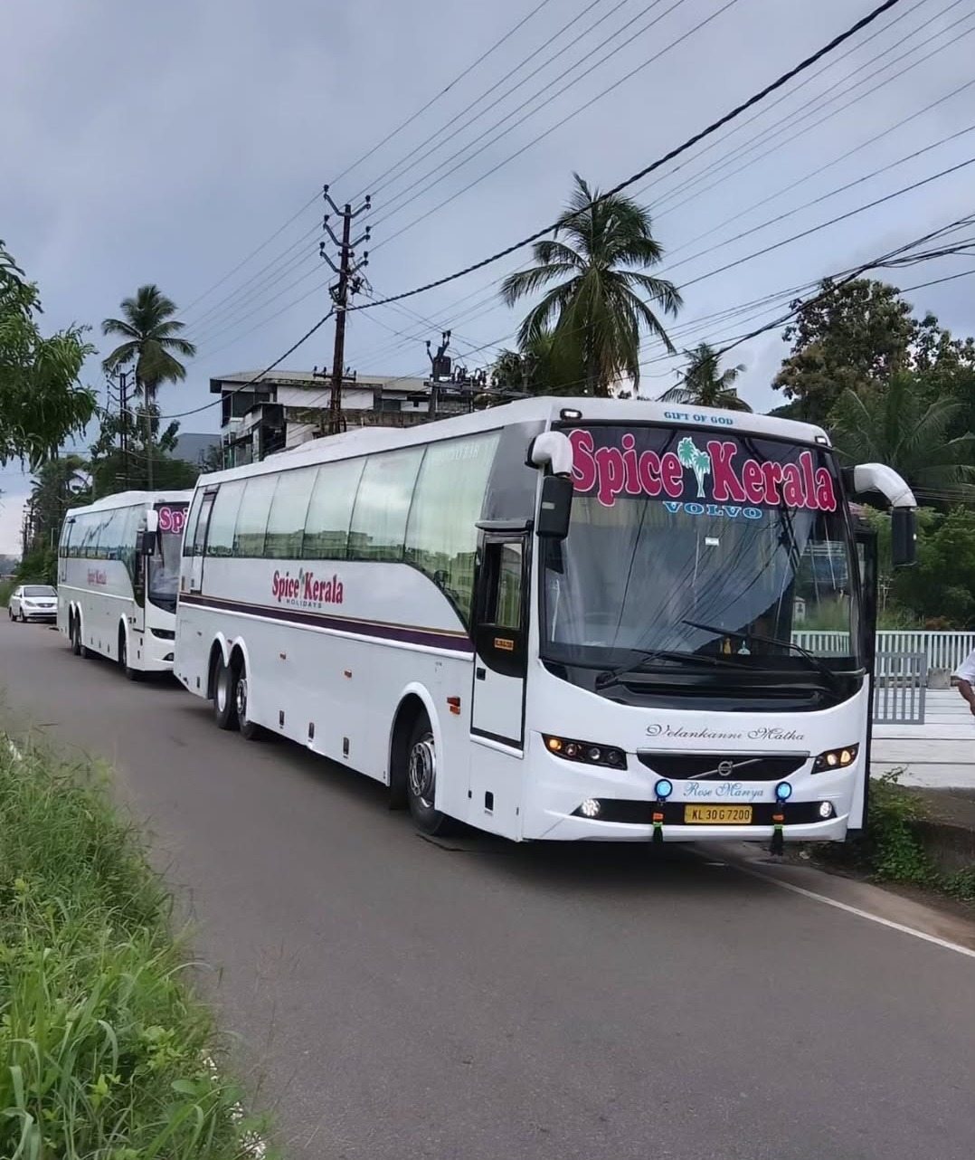 Tour Operator Angamaly Ernakulam,Tourist bus service Angamaly Ernakulam, Spice Kerala Holidays 