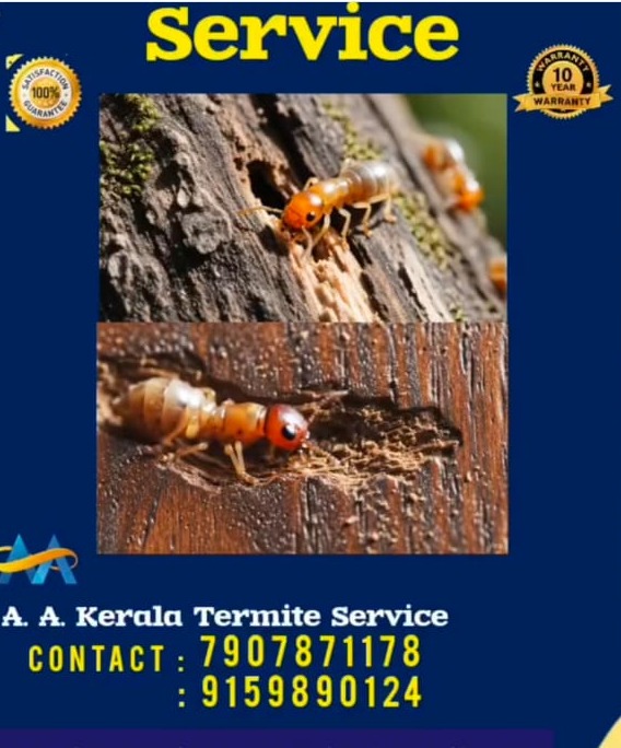 Pest Control Kannur,General Pest Control Kannur,Termite Treatment Kannur,Chithal Treatment Kannur,Kerala Termite Service 
