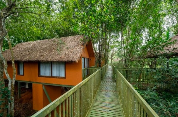  Farm Resort Kalpetta Wayanad,Resort Kalpetta Wayanad,Stay Kalpetta Wayanad,Kings Flora Luxury Farm Resort 