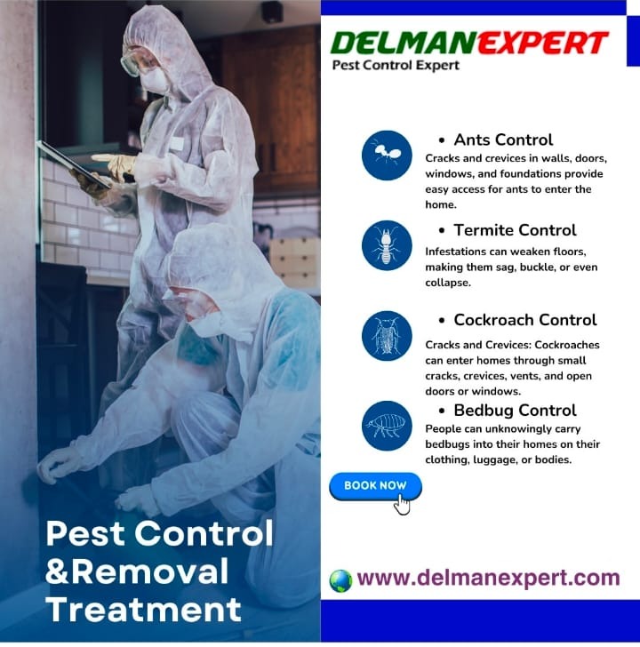 Pest Control Services Gandhinagar Coimbatore,DelmanExpert 