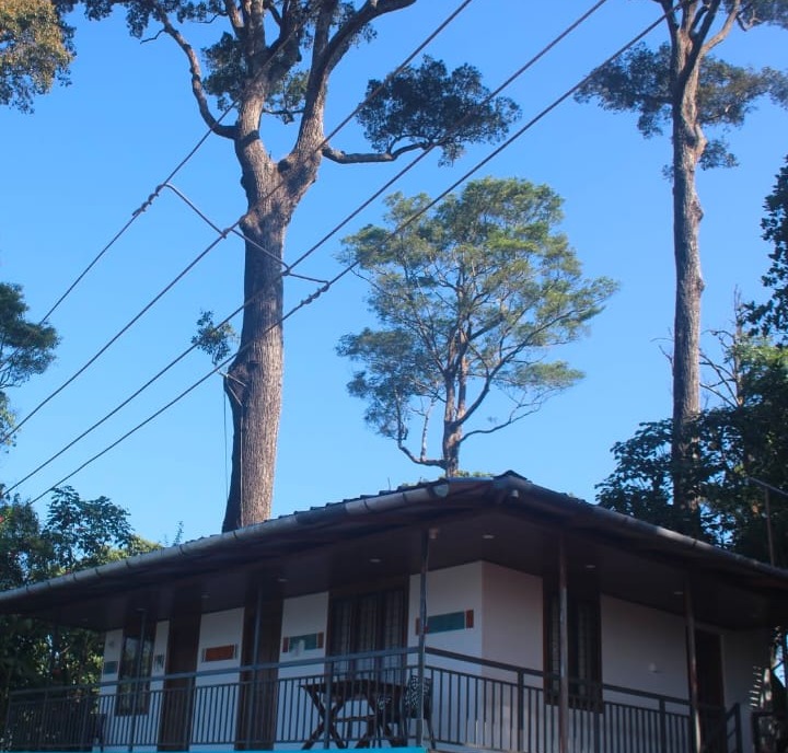 Homestay Kallimali View Point Rajakkadu Idukki,Homestay  Kallimali View Point Munnar Idukki,Berlin Homestay  