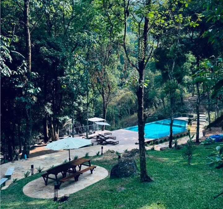 Resort Meppadi Wayanad, Forest Resort Meppadi Wayanad,Lanternstay Resort