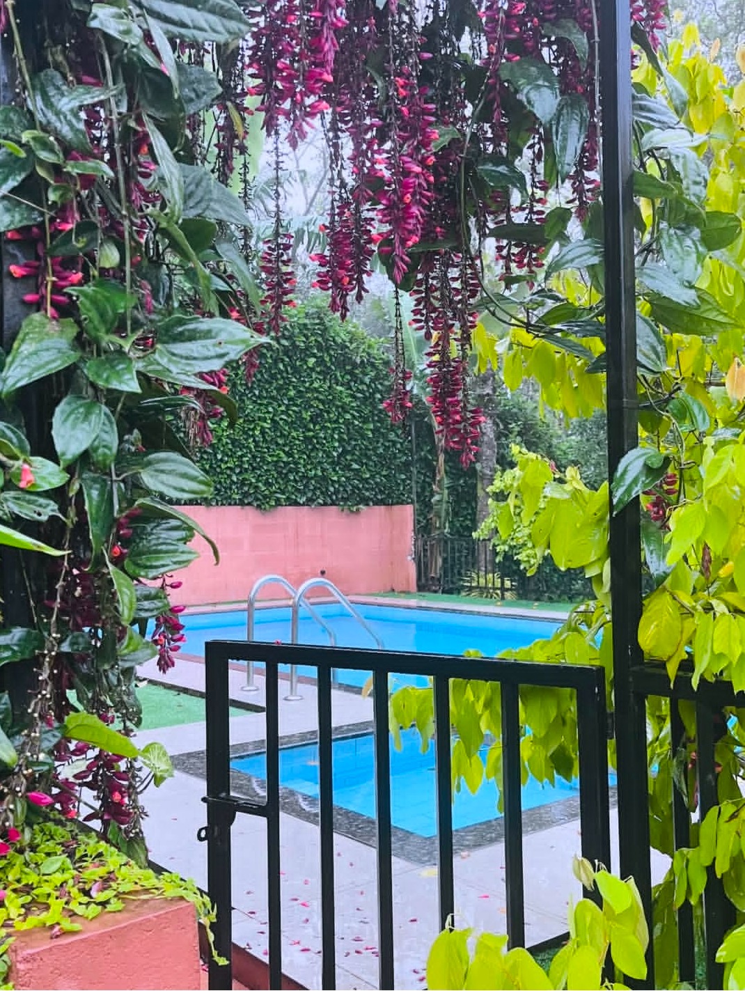 Cottage Ramakkalmedu,Stay in Ramakkalmedu,Peakaavu Cottage 