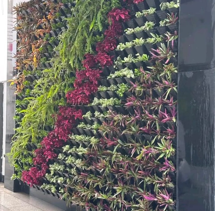  Vertical garden work noida,Miyawaki forest creator noida,Organic farm creator noida,Landscaping work noida,Green Alfa 