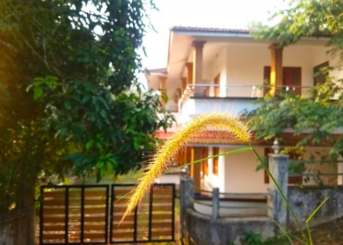 Villa Stay Padinjarathara Wayanad, Villa Homestay Padinjarathara Wayanad,Honeyvilla Homestay 