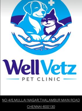 Pet clinic thazhambur Chennai, Pet Grooming Thazhambur Chennai , Pet Bording Thazhambur chennai, Wellvetz pet clinic Thazhambur Chennai.