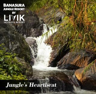 Hospitality Service in Vythiri Wayanad, Hotel and Resort in Vythiri Wayanad, Livik Hotels and Resorts