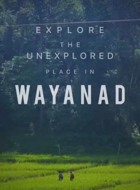 Resorts with swimming pool in Wayanad, Mud House & Forest Stay in Sulthan Bathery Wayanad, White Lily Resort