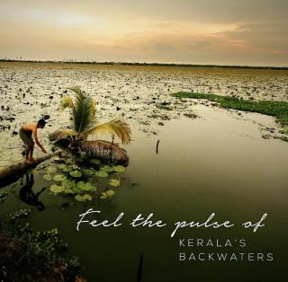 Resort in Cherthala Alappuzha, Stay in Cherthala Alappuzha, Island Resort 