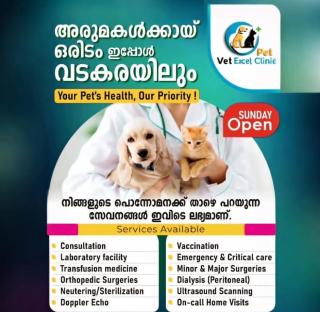 Pet Clinic Veterinarian Consultation Meppayil Vadakara, Vet Excel Pet clinic