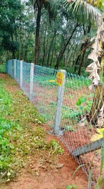 Fencing work Kambiveli work Idukki Kottayam, Slab mathil work Chain link work Kottayam Idukki,  Aarav Fencing Works 
