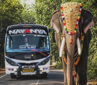 ​Travels in Tamil Nadu, ​Chennai to Pondicherry bus booking, ​​28 seater passenger van Chennai, Nayanya Tours and Travels 