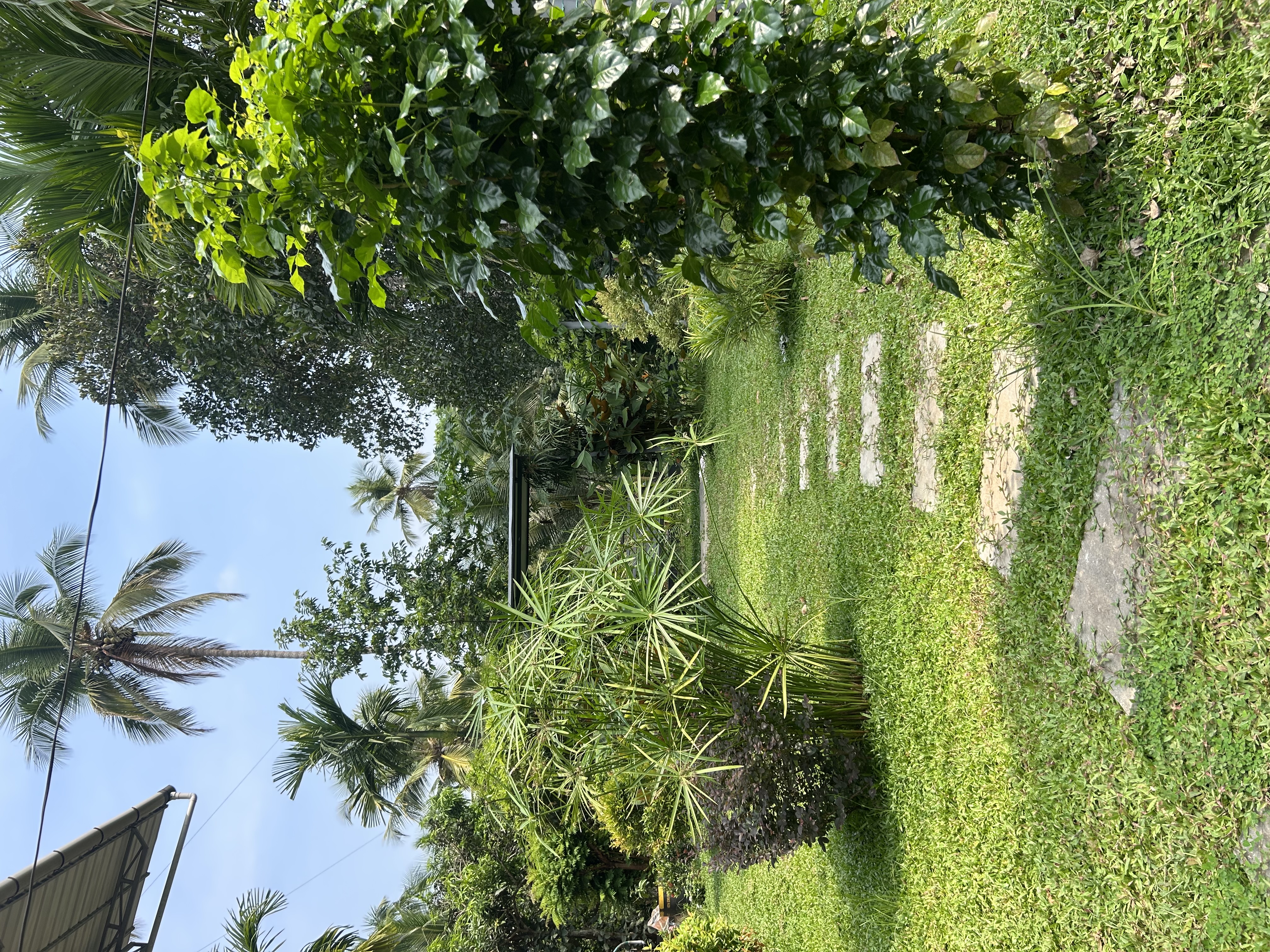 Landscaping Garden work aroor kakkattil vadakara,JS Garden landscaping kuttiyadi nadapuram perambra vadakara