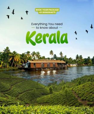 Travel agency in Kalpetta  Wayanad, holiday packages in Kalpetta Wayanad, International tour planners in Wayanad, WellBee Travels 