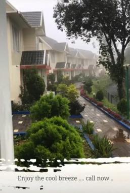 Resorts ​in Vagamon Idukki, stay in Vagamon, Infinity pool resorts in Vagamon,  The Grasmere Vagamon Resort 