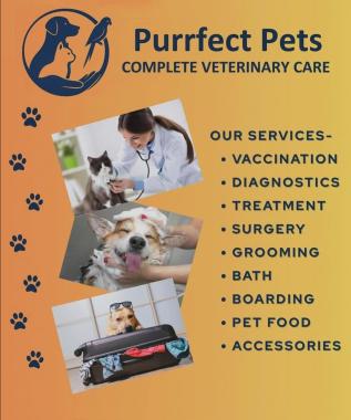 ​Veterinary clinic in Thalassery, ​Pet grooming services in Thalassery, pet boarding Thalassery, Pet food Accessories in Thalassery, ​Purrfect Pets 