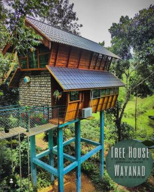 Resort in Muthanga Wayanad, Treehouse Stay in Muthanga Wayanad, Resort with pool in Wayanad, 900kandi Resorts, Stay in Wayanad Muthanga, TreeHouse 