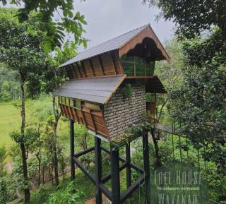 Resort in Muthanga Wayanad, Treehouse Stay in Muthanga Wayanad, Resort with pool in Wayanad, 900kandi Resorts, Stay in Wayanad Muthanga, TreeHouse 