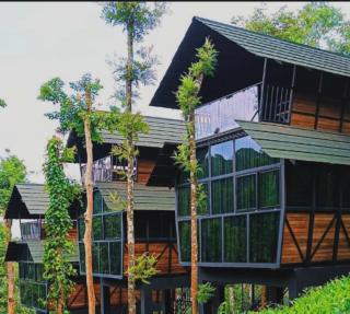 Resort in Muthanga Wayanad, Treehouse Stay in Muthanga Wayanad, Resort with pool in Wayanad, 900kandi Resorts, Stay in Wayanad Muthanga, TreeHouse 