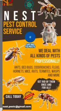 Pest control  services in sangli kolhapur ratnagiri,fumigation services in sangli kolhapur ratnagiri,ant control service in sangli kolhapur ratnagiri,Nest Pest Control 