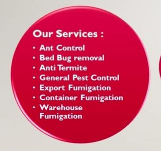 Pest control  services in sangli kolhapur ratnagiri,fumigation services in sangli kolhapur ratnagiri,ant control service in sangli kolhapur ratnagiri,Nest Pest Control 