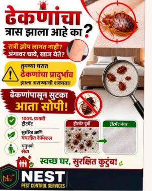 Pest control  services in sangli kolhapur ratnagiri,fumigation services in sangli kolhapur ratnagiri,ant control service in sangli kolhapur ratnagiri,Nest Pest Control 