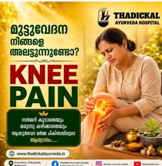 Ayurveda Hospital in kottayam,Marma Ayurveda Kalari treatment in kottayam,Fibromyalgia care in kottayam,Kalarippayattu centre in kottayam,Thadickal Ayurveda Hospital  