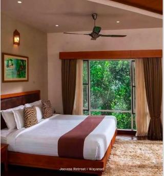 Ayurveda resort in wayanad,Hotel Resort in wayanad,Ayurveda wellness retreat in wayanad,Wellness Stay in wayanad,Jeevess Retreat 