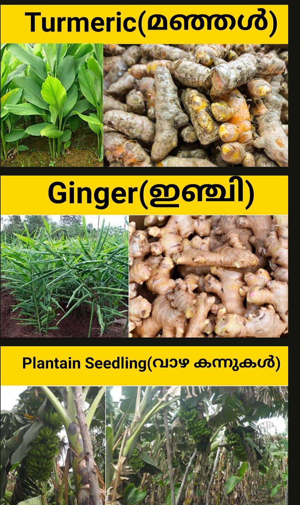 Agro pro