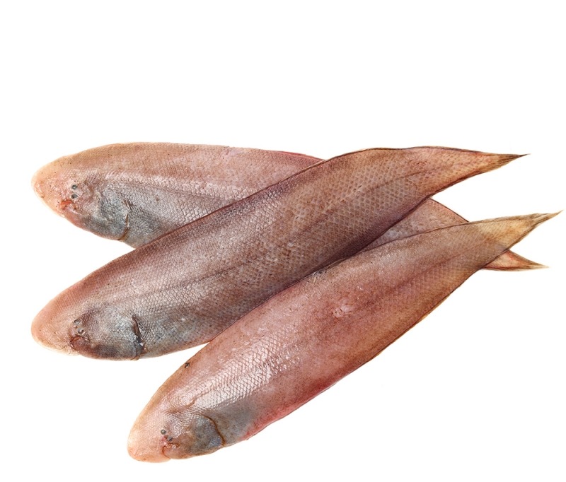 Sole fish /മാന്തൾ delivery available 