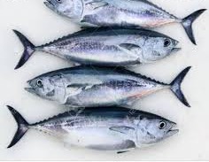 Ola meen  ഓലമീൻ  delivery available