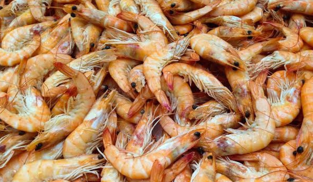 PRAWNS/ചെമ്മീൻ delivery available