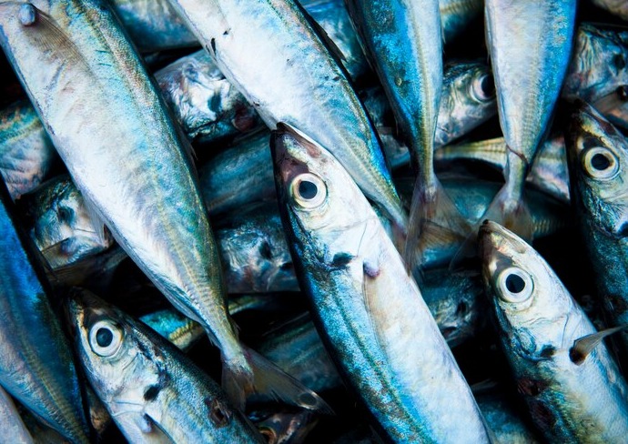 False trevally /Ade meen  delivery available