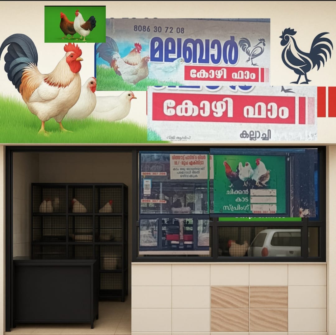 Malabar Kozhi Farm Kallachi : chicken stall