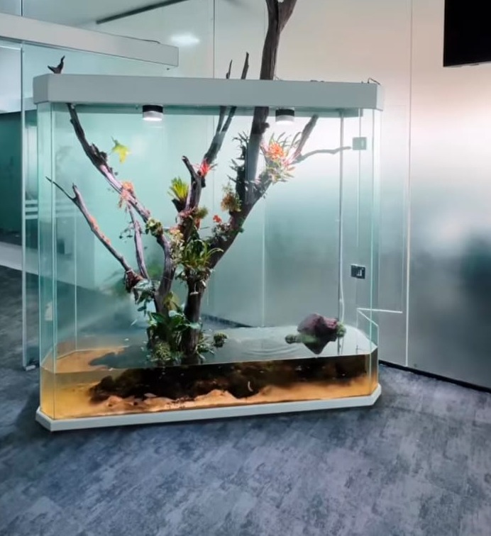 Aquarium Showroom Trivandrum,Aquarium Showroom Kazhakkoottam Trivandrum,Aquatic Pet ShopKazhakkoottam Trivandrum,Happy Fish 