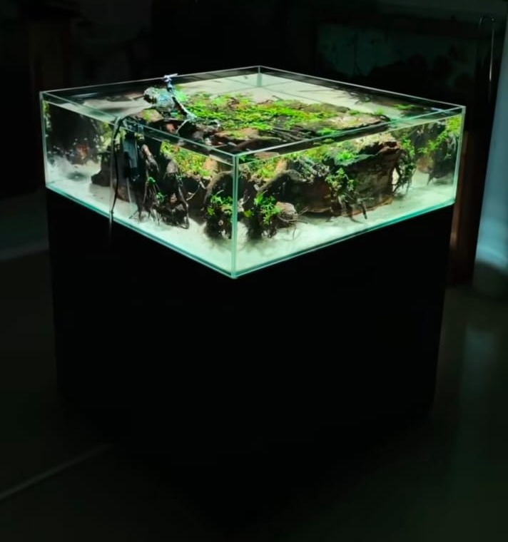 Aquarium Showroom Trivandrum,Aquarium Showroom Kazhakkoottam Trivandrum,Aquatic Pet ShopKazhakkoottam Trivandrum,Happy Fish 