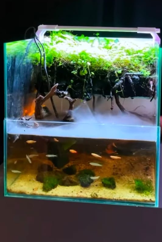 Aquarium Showroom Trivandrum,Aquarium Showroom Kazhakkoottam Trivandrum,Aquatic Pet ShopKazhakkoottam Trivandrum,Happy Fish 