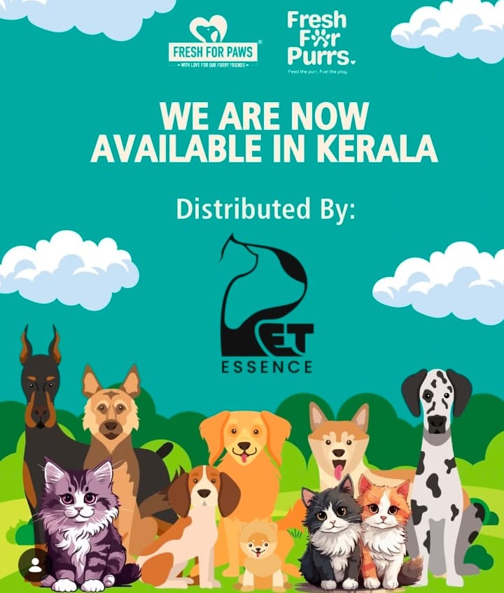 Pet Food Cheranallur Kochi, Pet Accessories Cheranallur Kochi,Pet Essence  Kochi