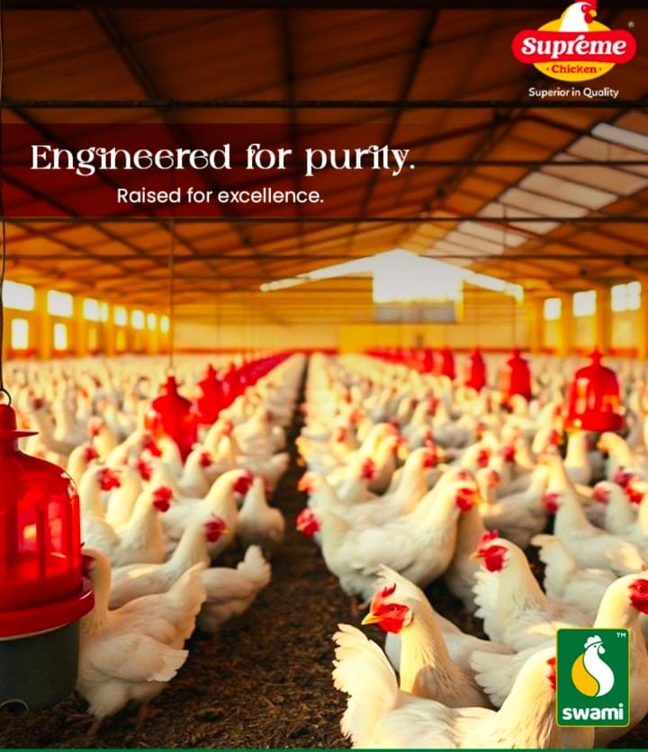 Poultry farm tirupur,Chicken farm tirupur,Swami Feeds tirupur
