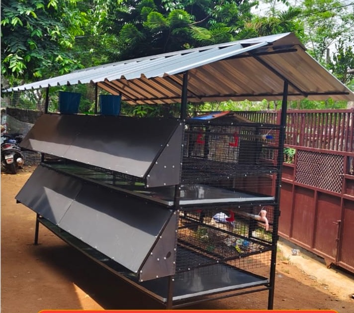 Poultry Farm Kottarakkara Kollam,Hi Tech Poultry Cages  Kottarakkara Kollam,Pets Cages  Kottarakkara Kollam,Choozhathil Farm 