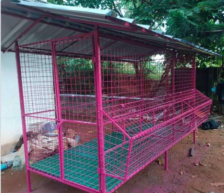 Poultry Farm Kottarakkara Kollam,Hi Tech Poultry Cages  Kottarakkara Kollam,Pets Cages  Kottarakkara Kollam,Choozhathil Farm 