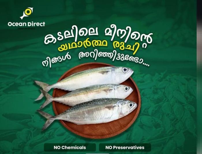 Fish Delivery Trivandrum, Fish delivery Kazhakkoottam Naalamchira Sreekaryam , Fish Delivery Kniyapuram Mangalapuram, Fish Delivery Pattam Attingal, Ocean Direct 