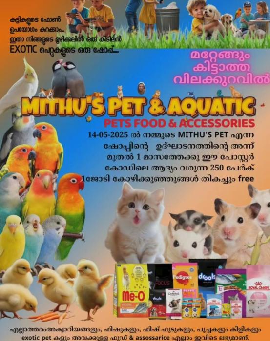  Pet shop in Calicut, Aquarium Dog & Cat food shop in Moozhikkal Calicut,  Mithu's Pet shop Calicut, MP Pet Shop  