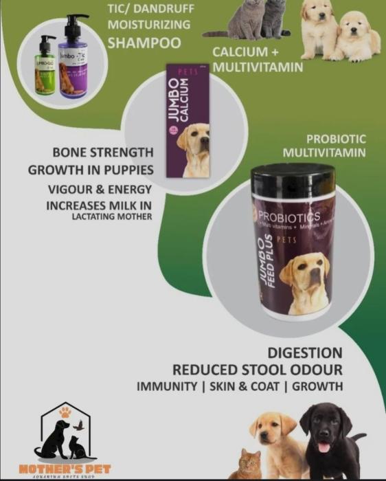  Pet shop in Calicut, Aquarium Dog & Cat food shop in Moozhikkal Calicut,  Mithu's Pet shop Calicut, MP Pet Shop  