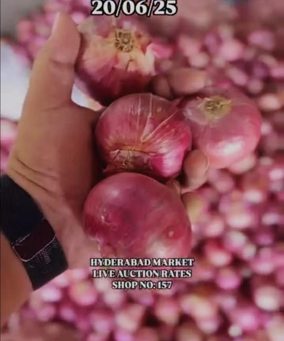 ​Onion wholesale supplier store Hyderabad, onion agent and supply store Hyderabad, ​Ravi and Company onion 