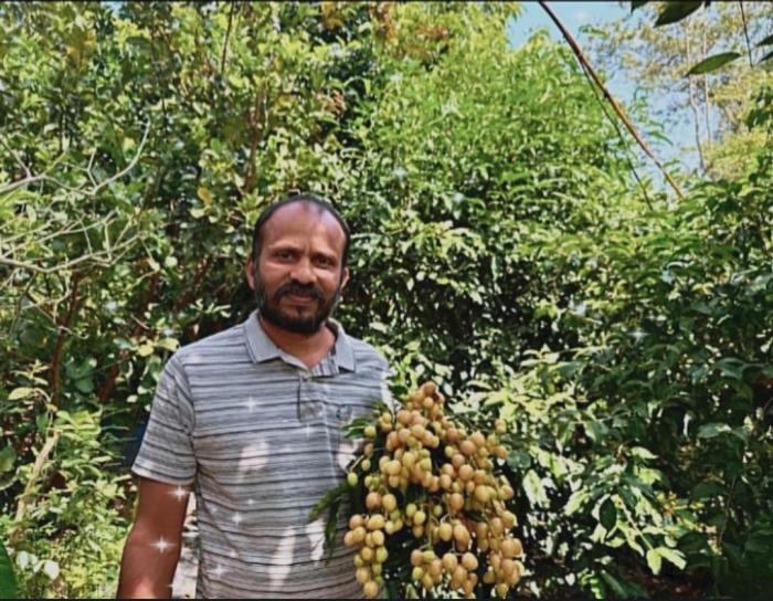  Plant nursery in  Kolavayal Wayanad, fruit nursery in Kolavayal Wayanad, Exotic fruit Farm & Nursery in Wayanad, Key farm 