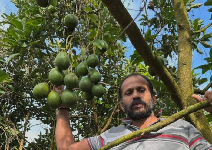  Plant nursery in  Kolavayal Wayanad, fruit nursery in Kolavayal Wayanad, Exotic fruit Farm & Nursery in Wayanad, Key farm 