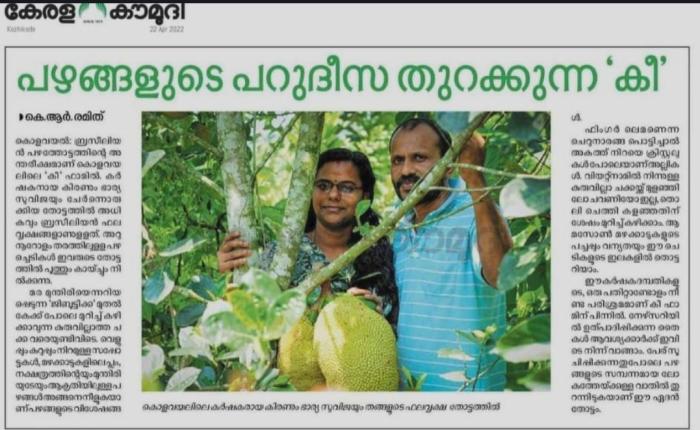  Plant nursery in  Kolavayal Wayanad, fruit nursery in Kolavayal Wayanad, Exotic fruit Farm & Nursery in Wayanad, Key farm 