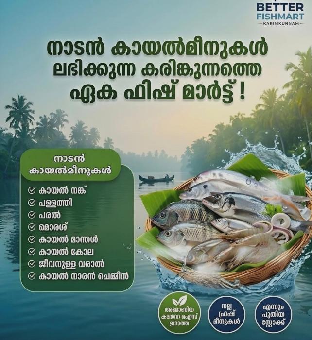 ​Fresh fish in Karimkunnam, Fish market in Karimkunnam Idukki, ​ fish delivery in Karimkunnam, Sea fish Nadan puzha meen in Karimkunnam, Better Fish Mart 